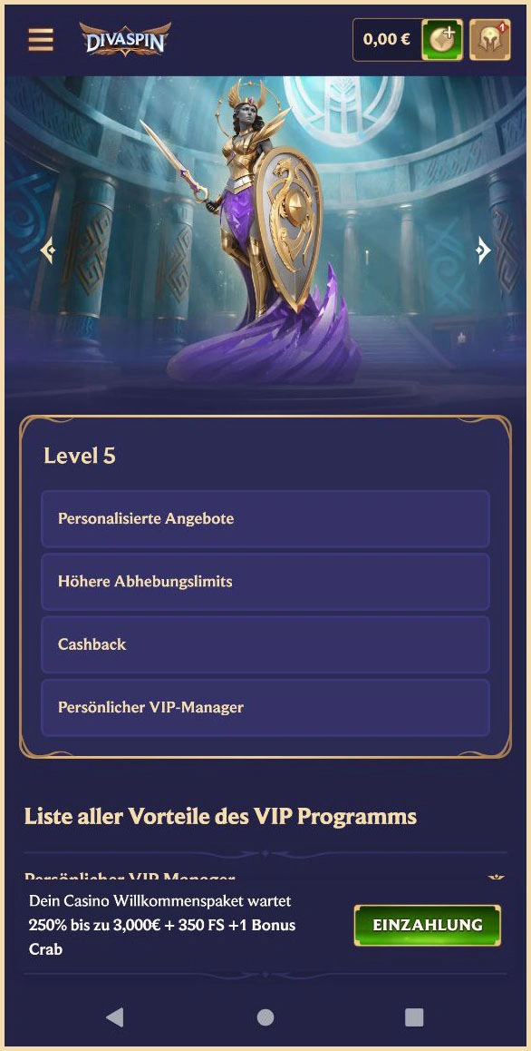 Exklusive Vorteile im VIP-Bereich genießen